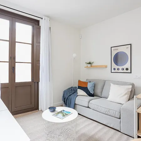 Modern 1 Bedroom Near Drassanes Apartment